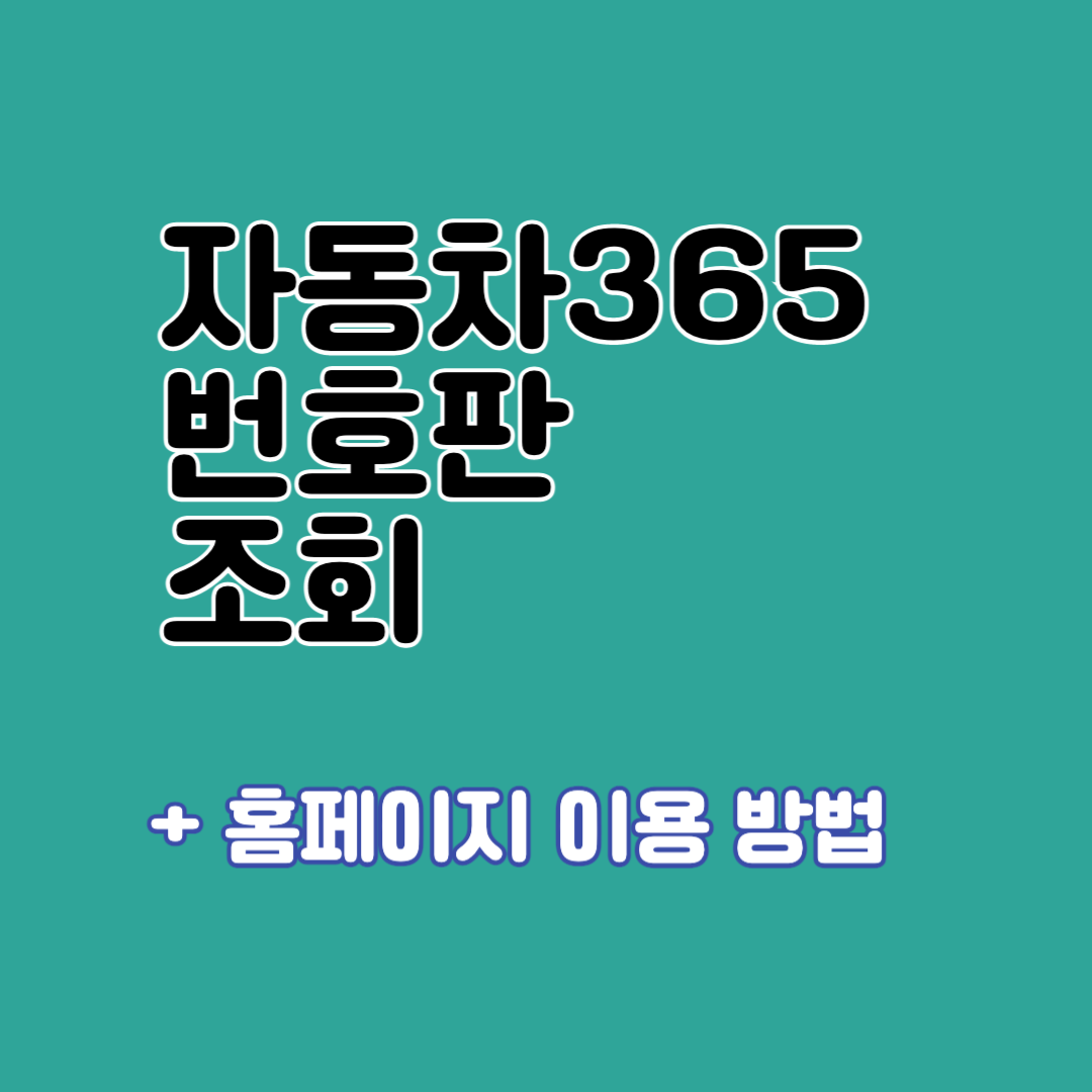 자동차365 번호판 조회