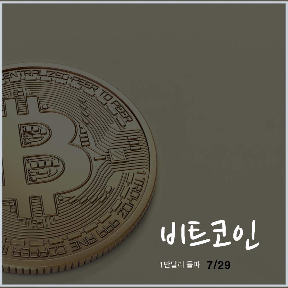  현재까지 비트코인 시세