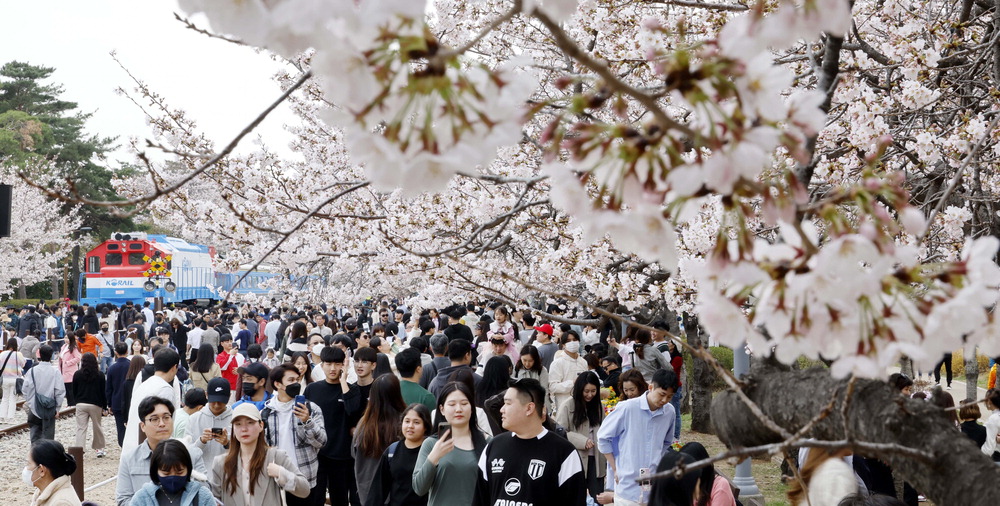 진해 군항제 벚꽃축제 안내 (2023 최신버전) 44