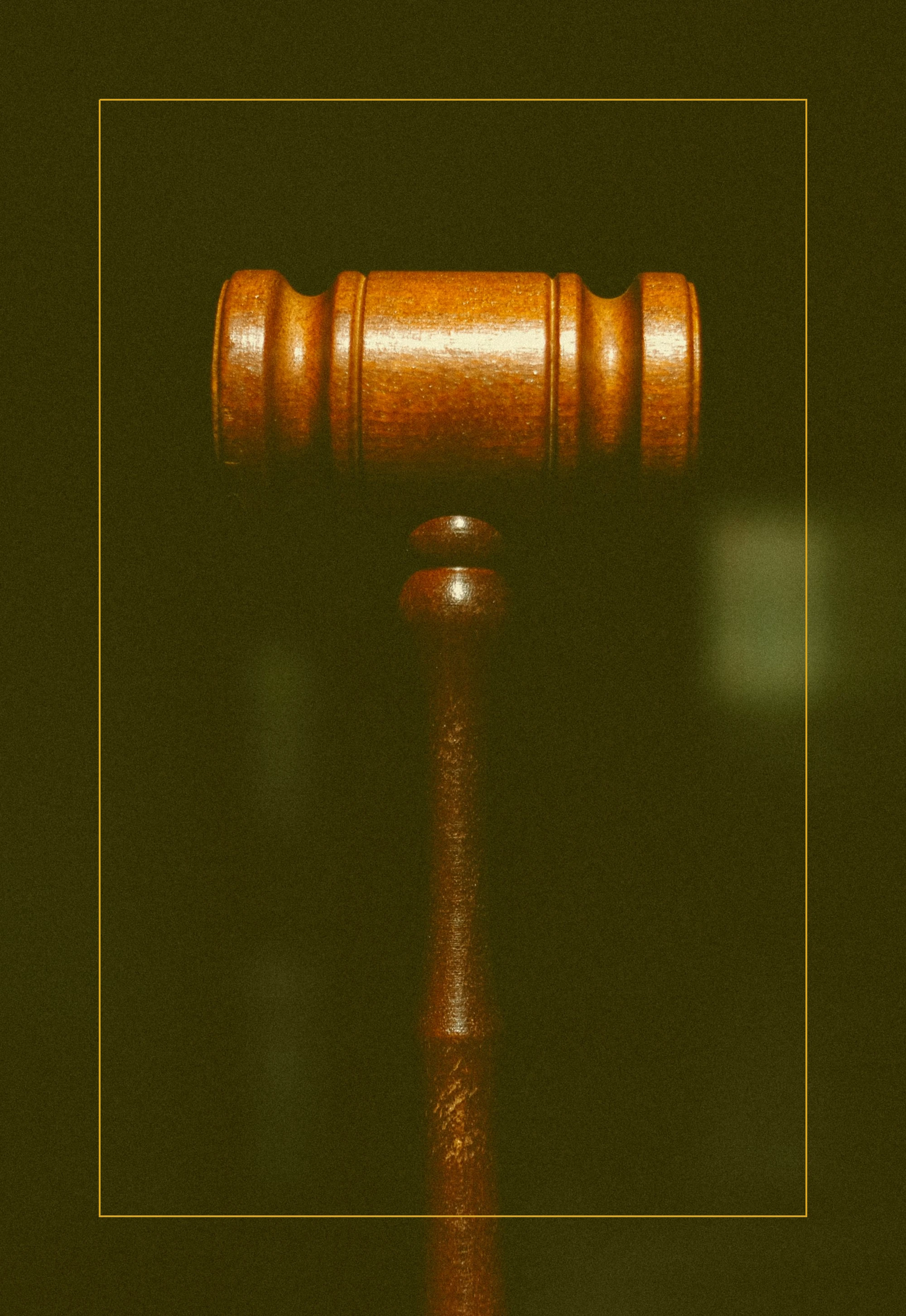 이미지_3