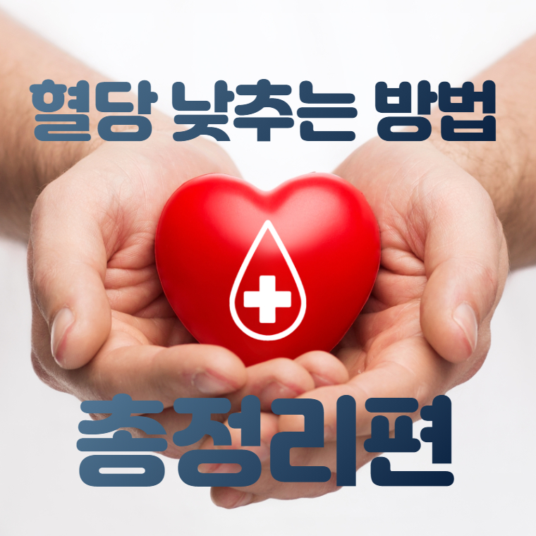 혈당 낮추는 방법 완벽 정리