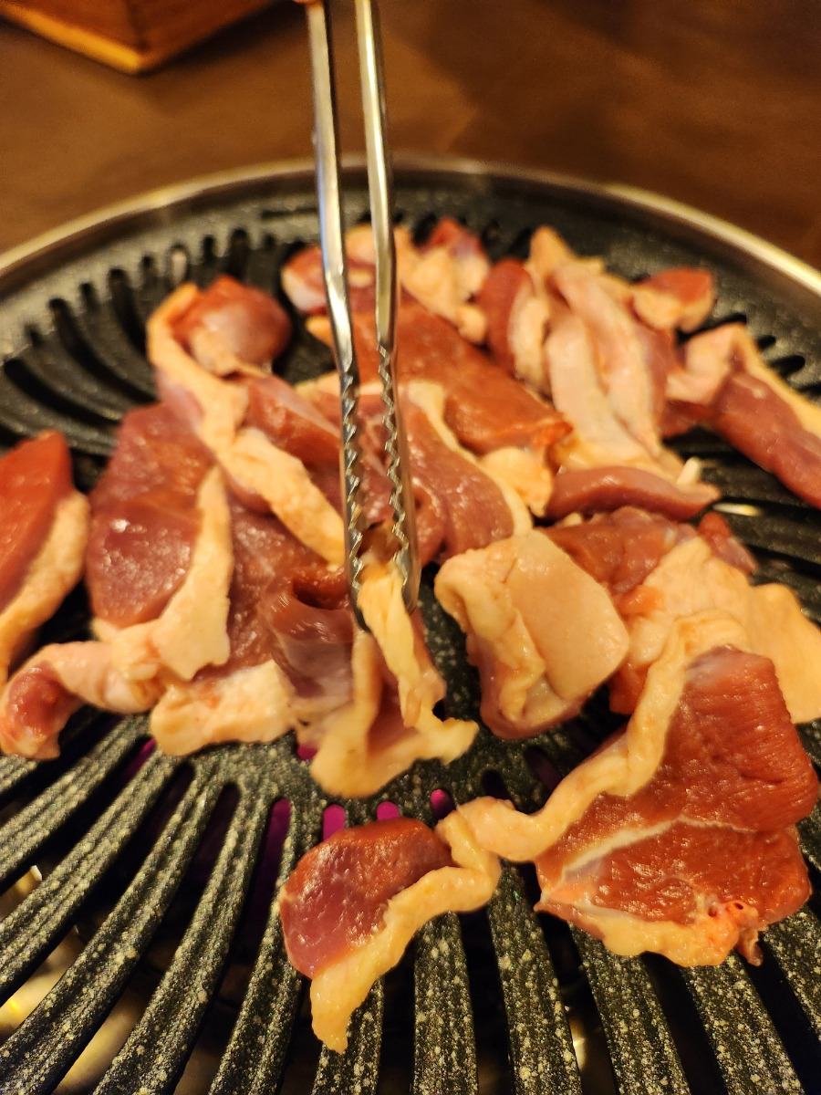 낙동생오리 이미지