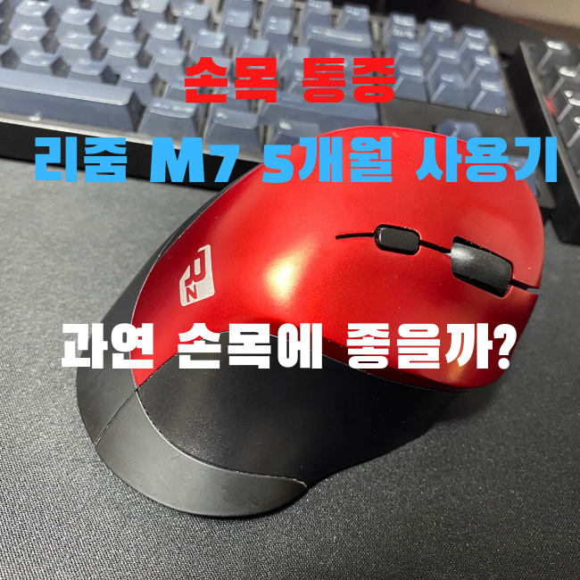  리줌 M7 버티컬 무선 마우스 후기 (손목터널증후군)