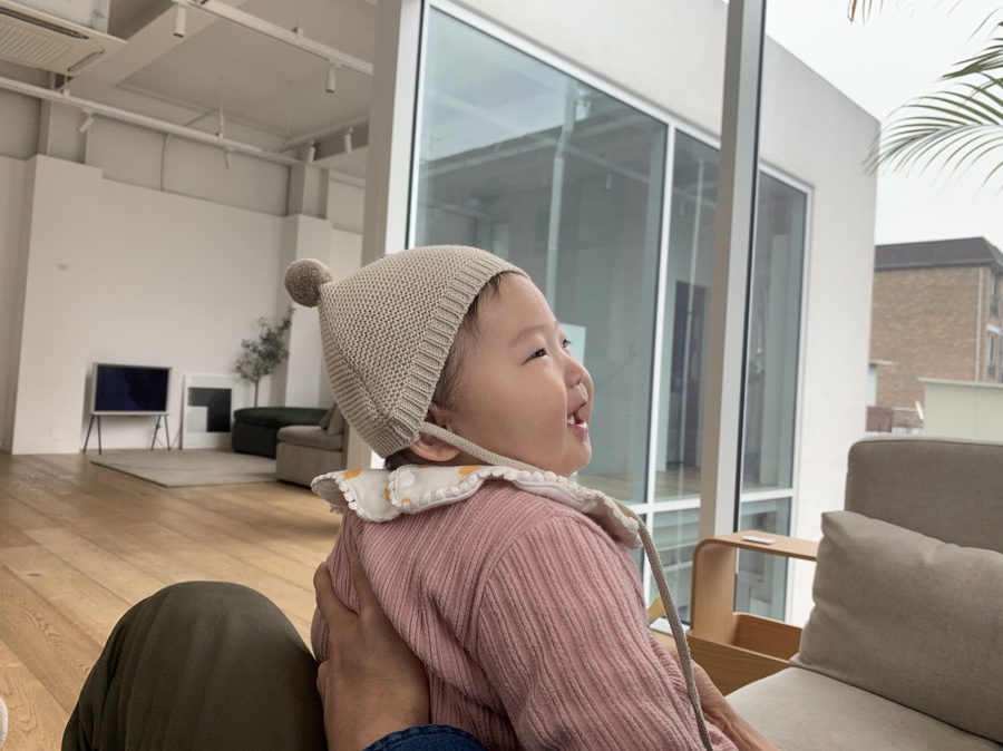 잭슨카멜레온, 플랜트란스 13