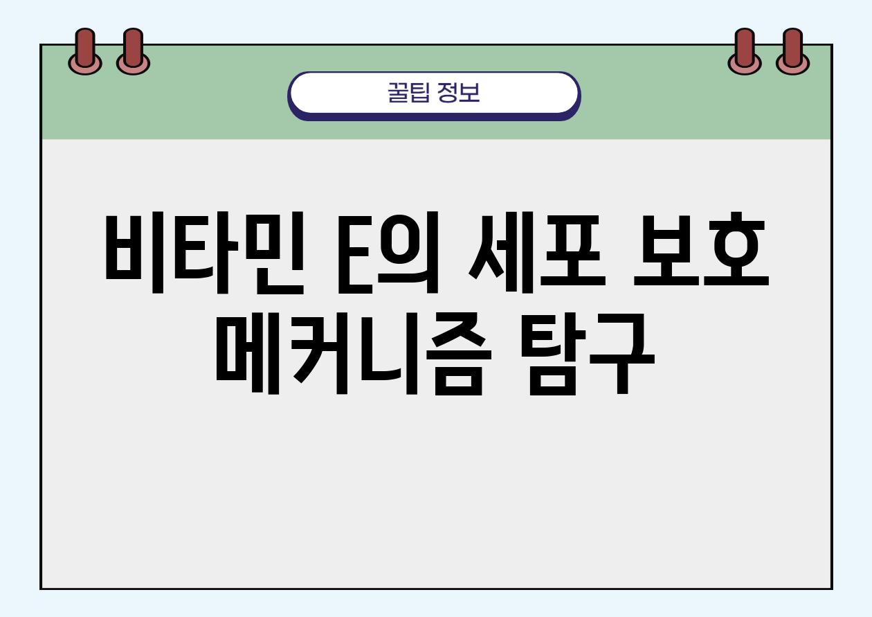 비타민 E의 세포 보호 메커니즘 비교