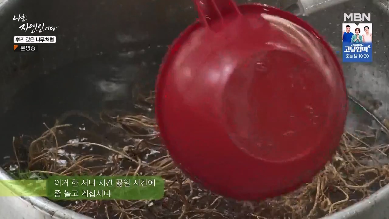 나는 자연인이다.E571.230914p-NEXT.mp4_20230914_202150.342.jpg