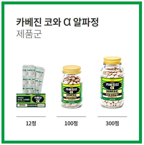 카베진 12정 100정 300정 사진