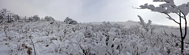 소백산 설경