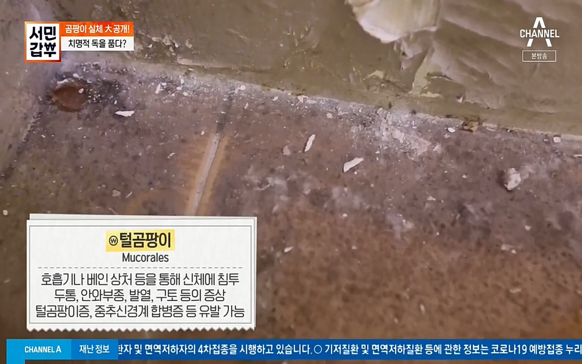 서민 갑부.E393.220724p-NEXT.mp4_20220724_142731.620.jpg