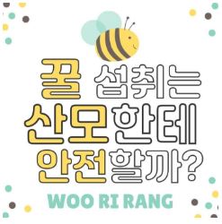  임산부에게 꿀과 꿀화분은 정말 좋은것일까?(+꿀/마누카꿀효능,부작용)