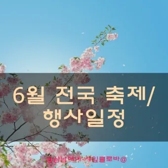 6월 축제 가볼만한 곳 완벽 가이드 2025년 최신_24