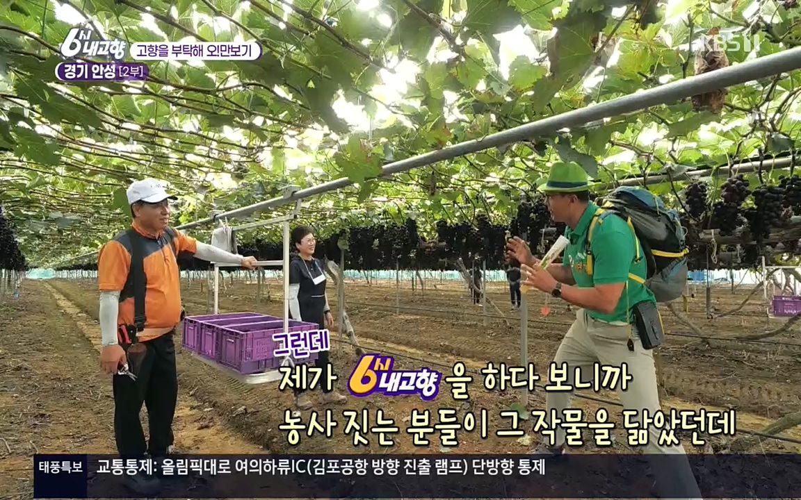 6시 내고향.E7611.220907p.H264-F1RST.mp4_20220908_204251.185.jpg