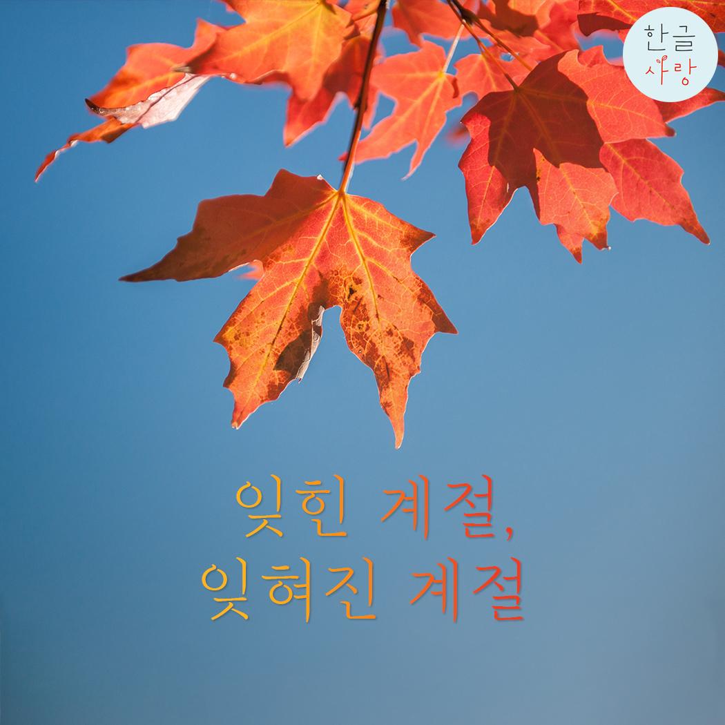  잊힌 계절과 잊혀진 계절