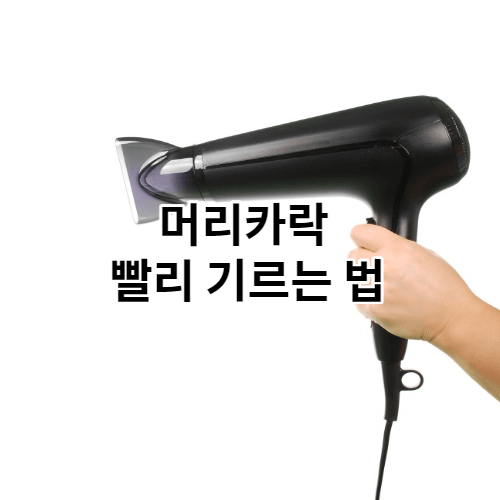 머리를 감을때 가져야 할 습관