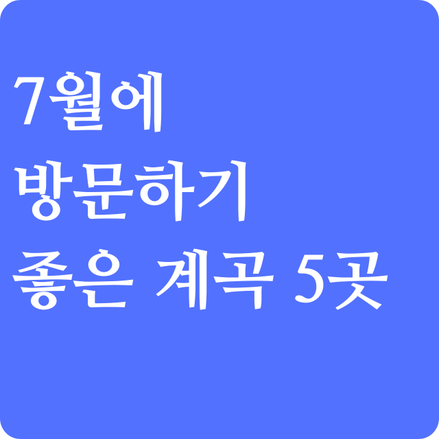 경기도에서 가장 인기 있는 여름 휴가지: 7월에 방문해야 할 계곡 5선