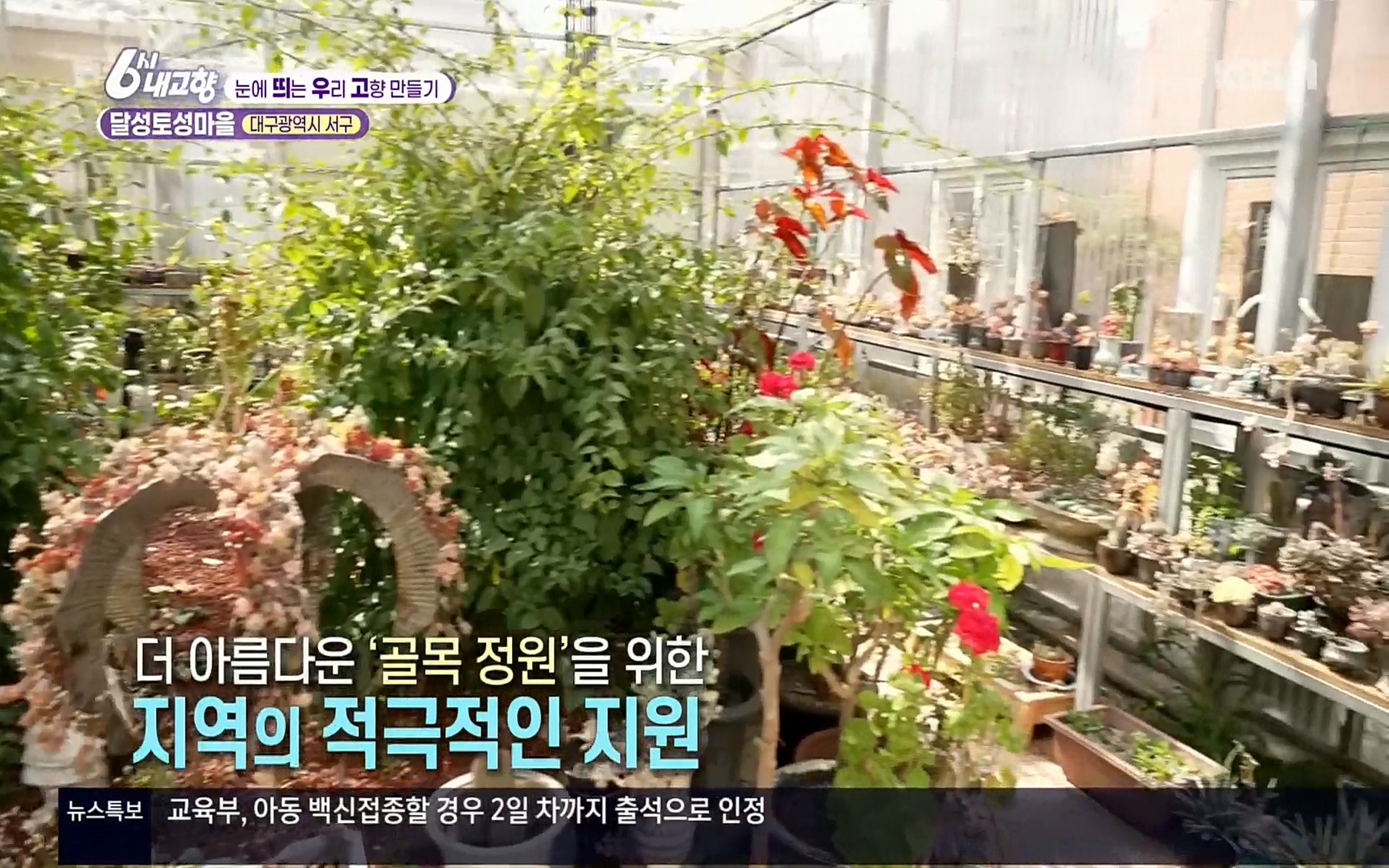 6시 내고향.E7496.220324p.H264-F1RST.mp4_20220328_175126.507.jpg