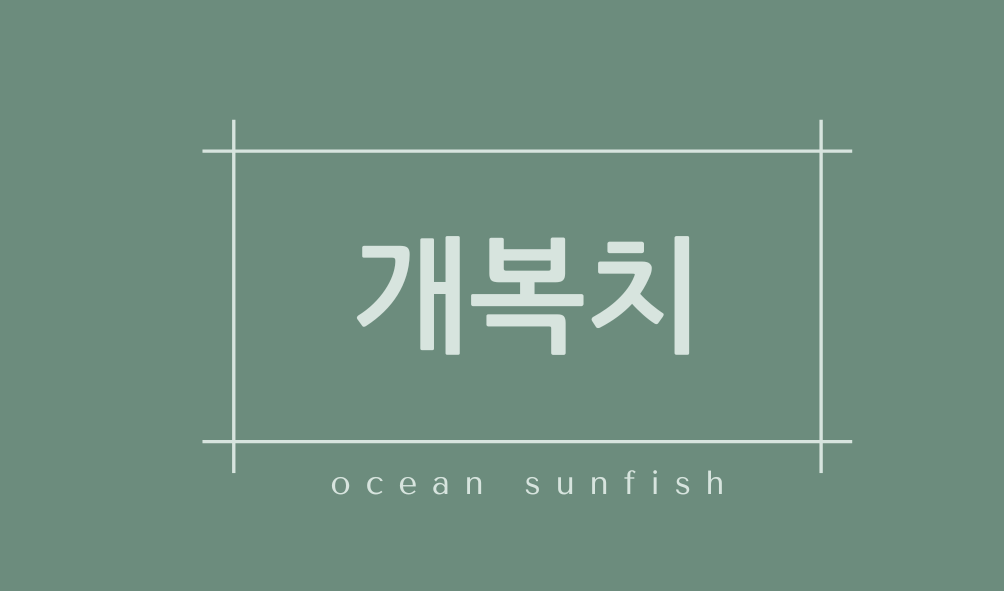 개복치(ocean sunfish)