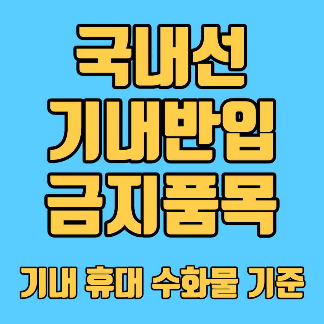 국내선 기내반입 금지품목