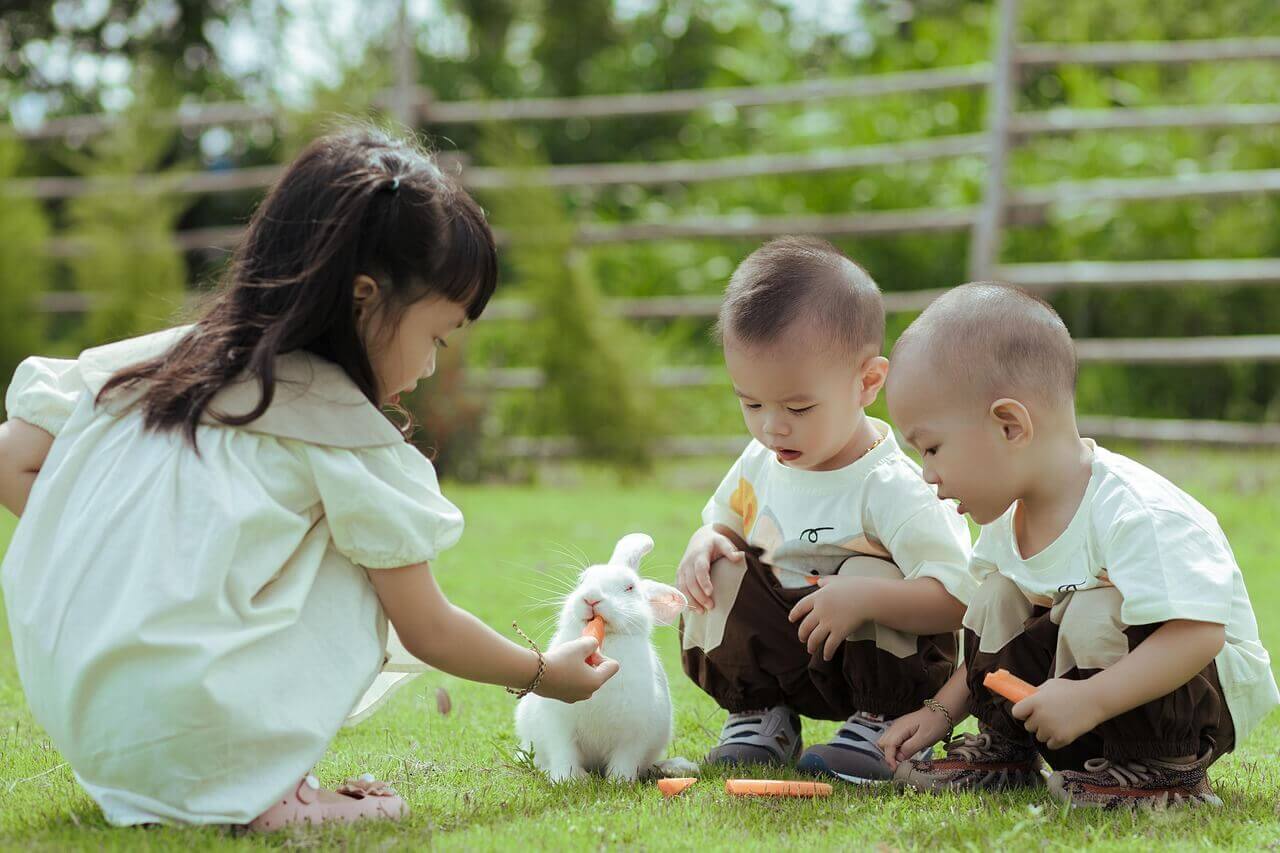 마그네슘 효능&amp;#44; 복용법&amp;#44; 주의사항 알아보기!