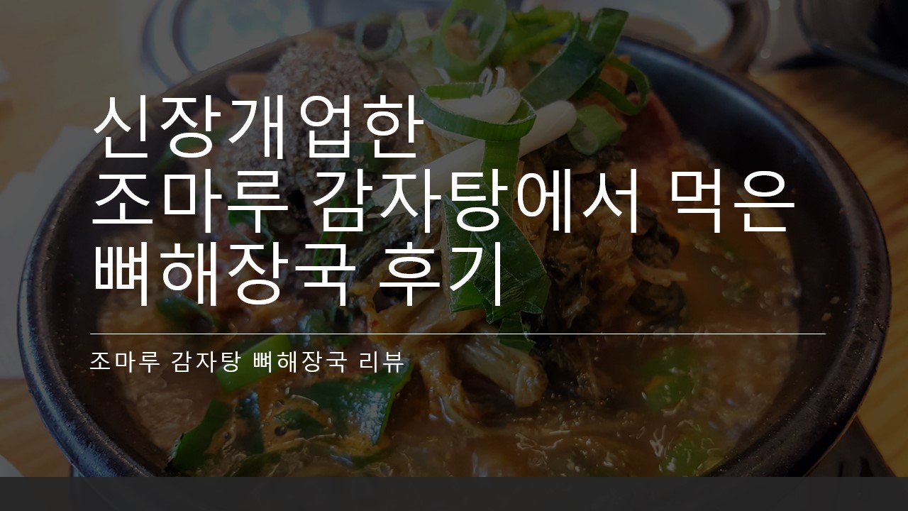  신장개업한 조마루 감자탕에서 먹은 뼈해장국 후기, 추천 리뷰 (양천점 조마루감자탕 메뉴 등등)
