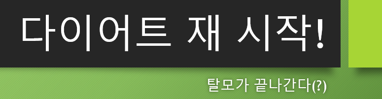  다이어트 재 시작! (탈모가 나아지고 있어요!)