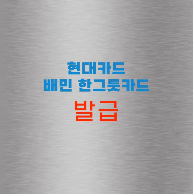 현대카드 배민 한그릇카드