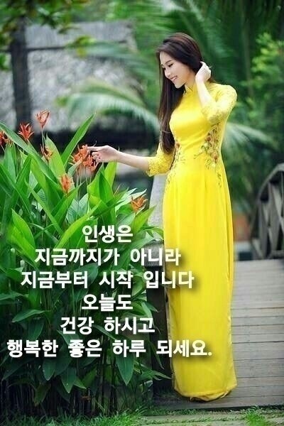 행행행 이미지
