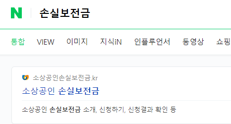 소상공인 손실보전금 네이버 검색