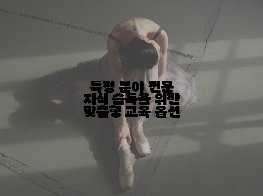 특정 분야 전문 지식 습득을 위한 맞춤형 교육 옵션