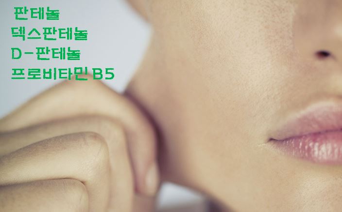  프로비타민 B5 판테놀의 피부 효능; 보습성, 항염증성