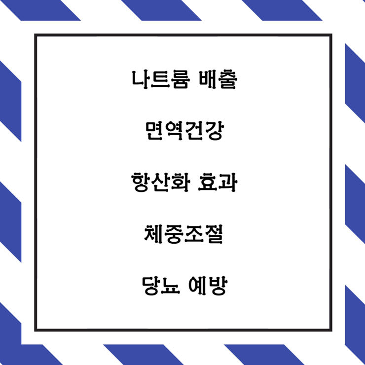  당근 효능과 조리방법