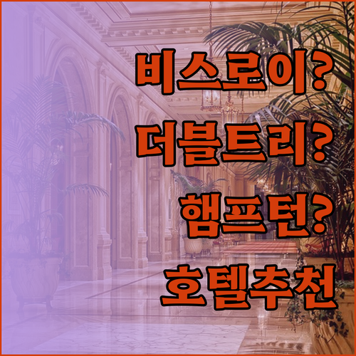 비스로이 시카고 vs 더블트리 바이 