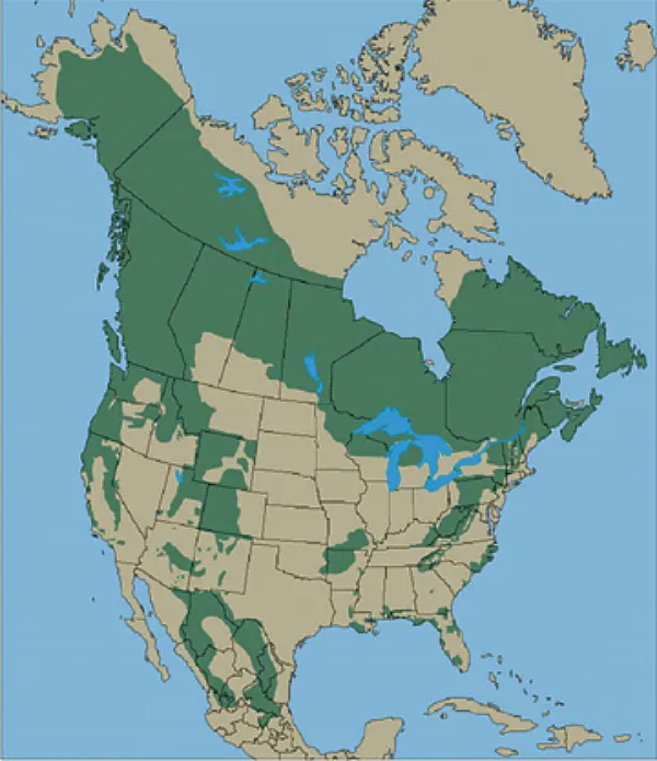 Black Bear Range (image source: North American Bear Center)