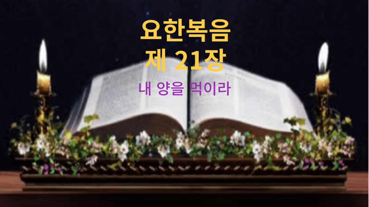 요한복음 21장 내 양을 먹이라