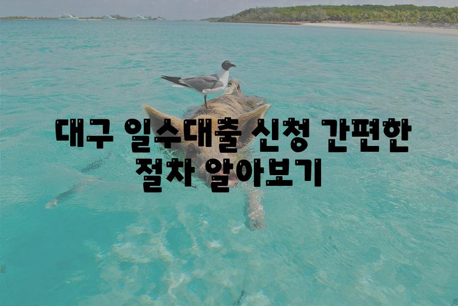  대구 일수대출 신청 간편한 절차 알아보기