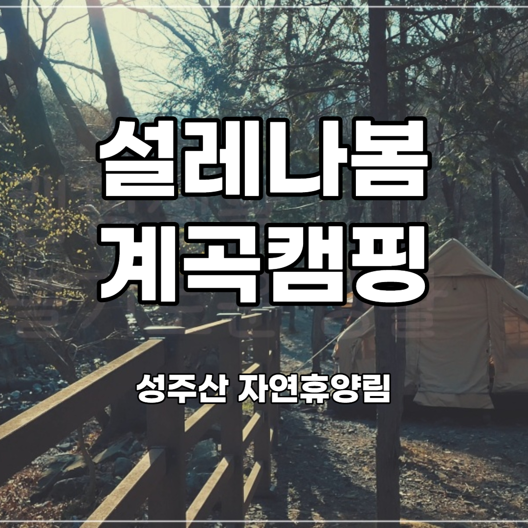  성주산 자연휴양림 야영장 데크 명당 캠핑 꼭 알아야 할 정보