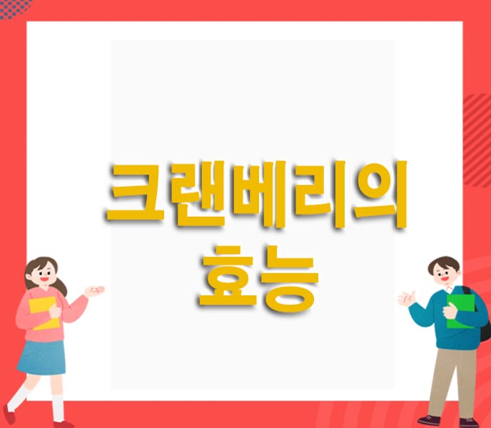 크랜베리의-효능