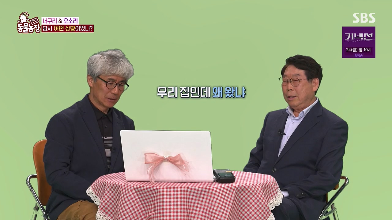 TV 동물농장.E1172.240520p-NEXT.mp4_20240519_163611.280.jpg