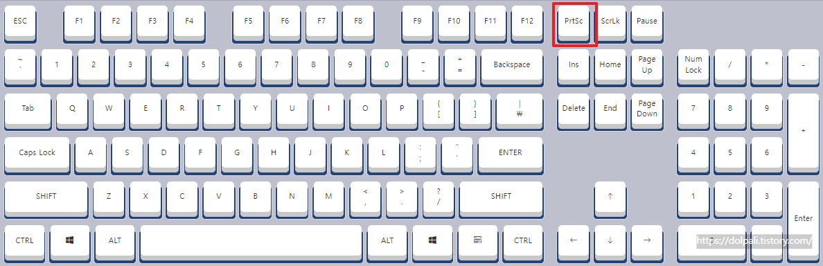 전체화면 캡쳐하기-키입력