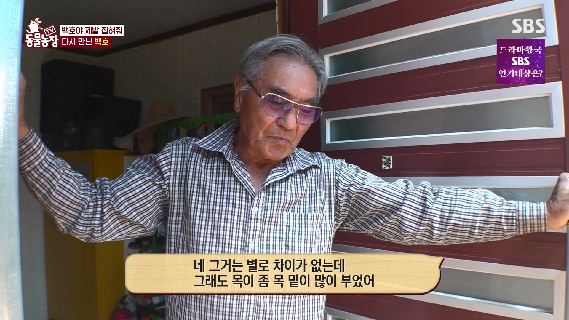 TV 동물농장.E1151.231224p-NEXT.mp4_20231224_154136.072.jpg