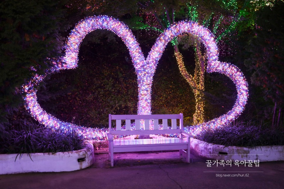 경북 축제 경북 아이와가볼만한곳 청도 13