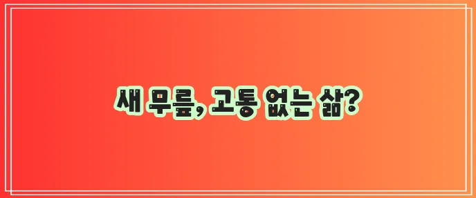2024년 무릎 통증 치료 방법 꼭 알아보세요!