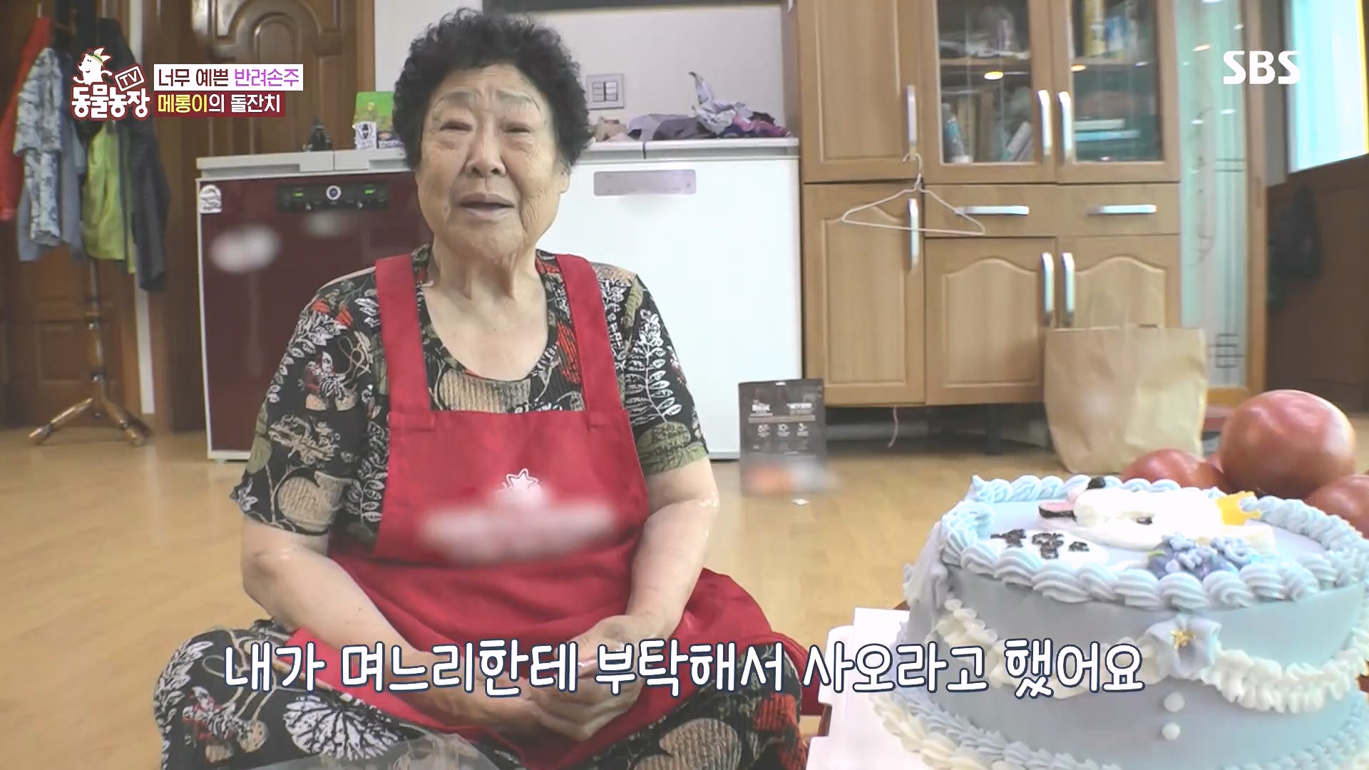 TV 동물농장.E1185.240818p.H264-F1RST.mp4_20240818_161600.608.jpg