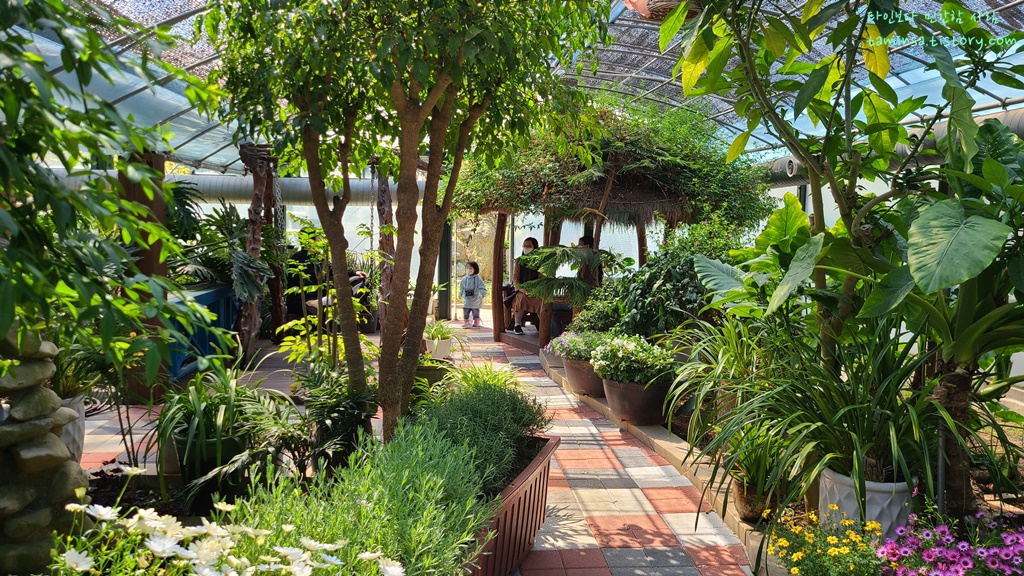 용도수목원-허브식물원