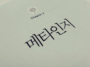  메타인지란? - 메타인지의 정의