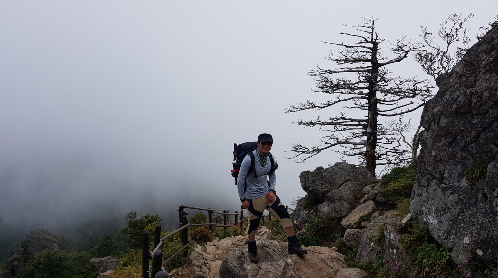 지리산 구상나무