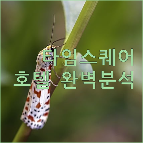 뉴욕 타임스 스퀘어 호텔 완벽 분석 