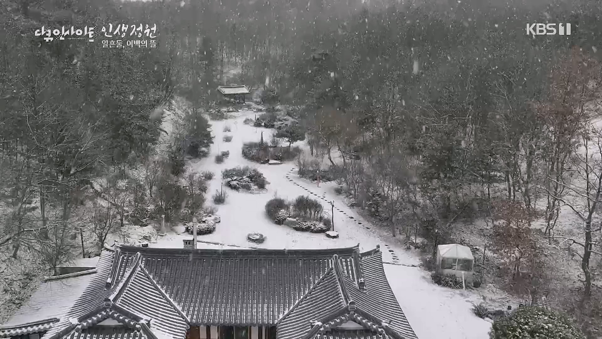 다큐 인사이트.E135.221229p.H264-F1RST.mp4_20230109_204227.197.jpg