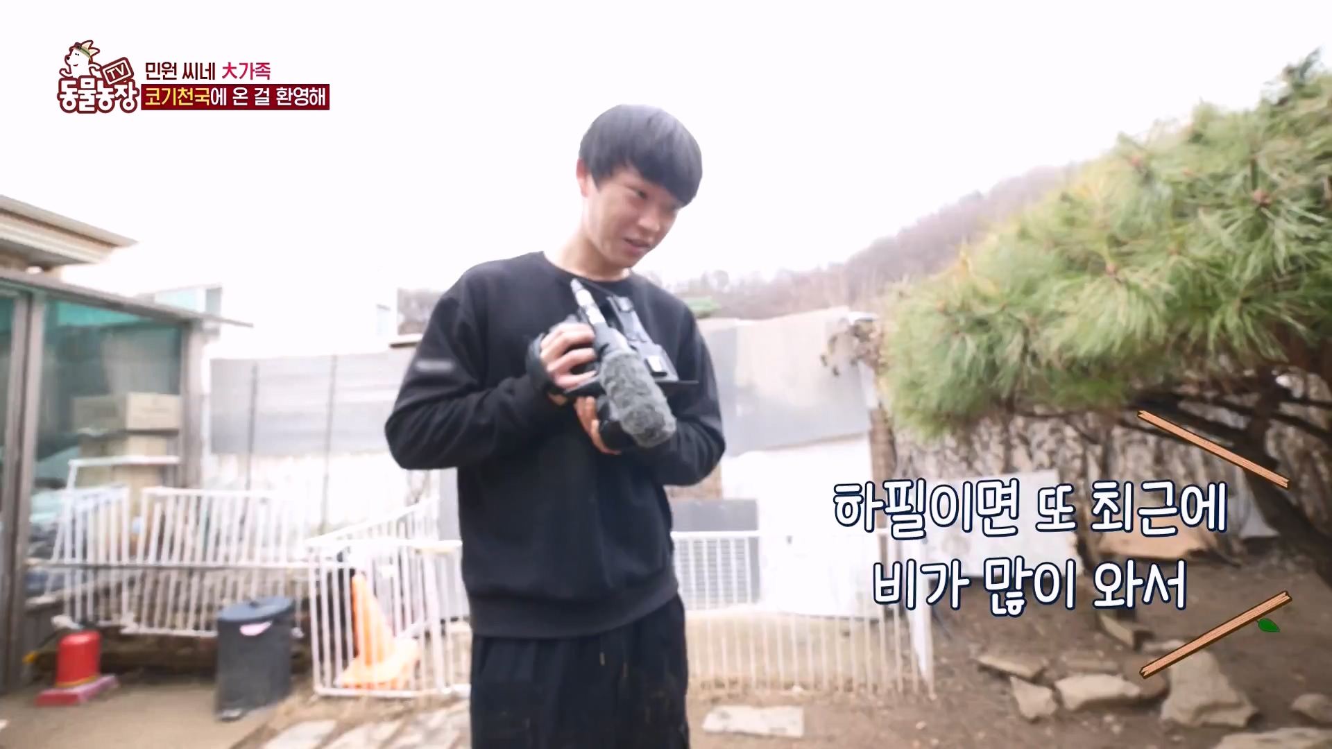 TV 동물농장.E1161.240303p-NEXT.mp4_20240303_172245.261.jpg