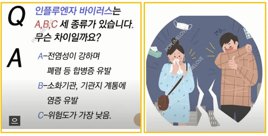 차이점